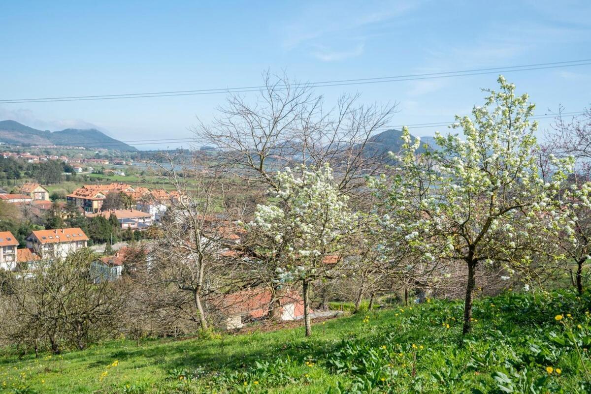 Bárcena de Cicero Casa Con Jardin En Gamaヴィラ エクステリア 写真